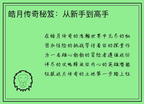 皓月传奇秘笈：从新手到高手